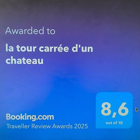 La Tour Carree D'Un Chateau Auzouer-en-Touraine Dış mekan fotoğraf